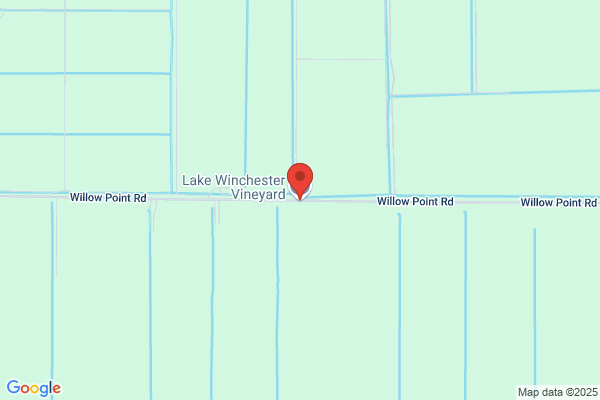 Lake Winchester Vineyard