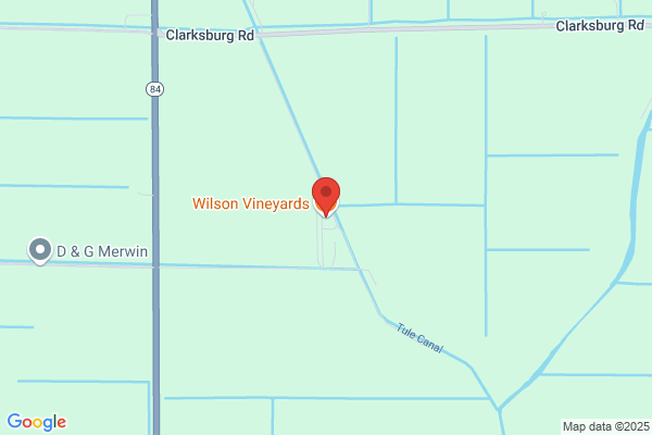 Wilson Vineyards