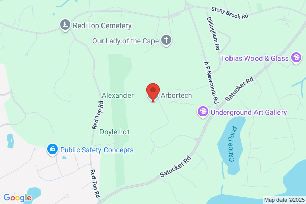 Arbortech Tree & Landscaping