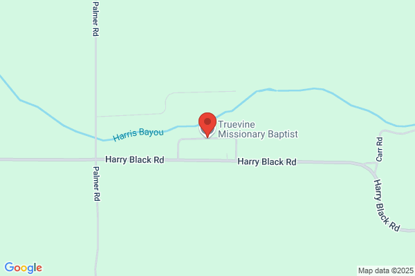 Truevine Missionary Baptist Church of Mattson
