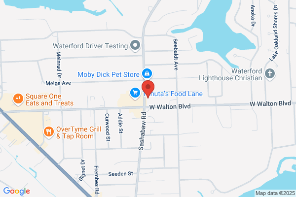 Michigan Court Services Inc