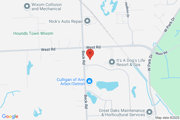 Dynamic Automation Inc