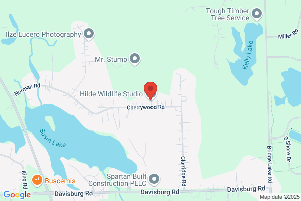Hilde Wildlife Studio
