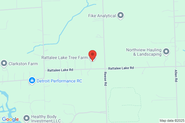 Village Tree Service