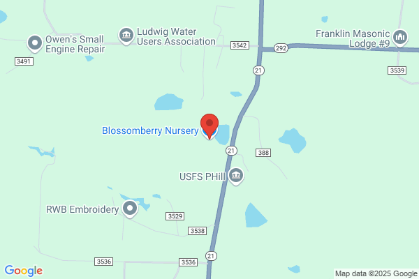 Blossomberry Nursery