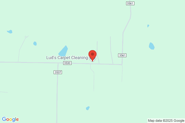 Luna Carpet Care