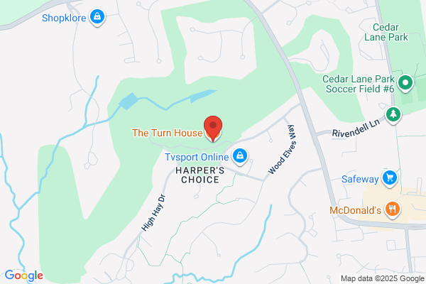 The Turn House