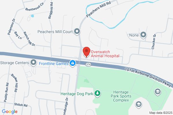 Overwatch Animal Hospital