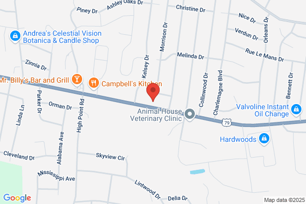 Stuard & Kennedy's Automotive Brake & Alignment Center