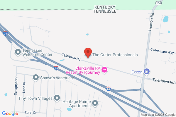 The Gutter Professionals