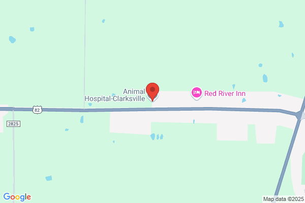 Animal Hospital-Clarksville
