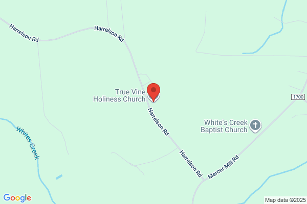 True Vine Holiness Church