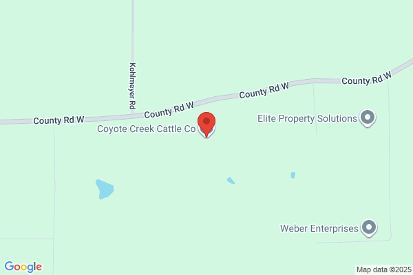 Coyote Creek Cattle Co