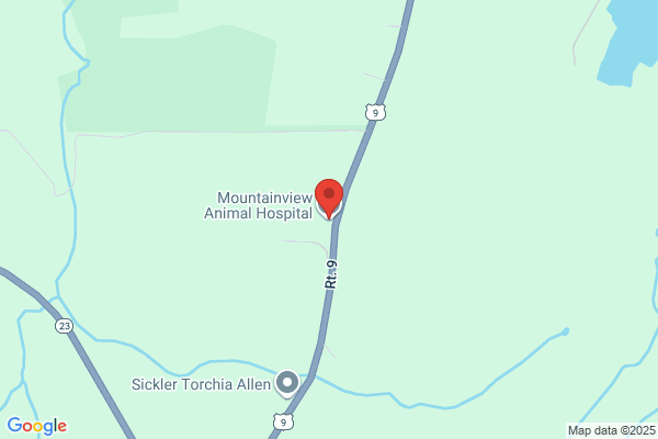 Mountainview Animal Hospital