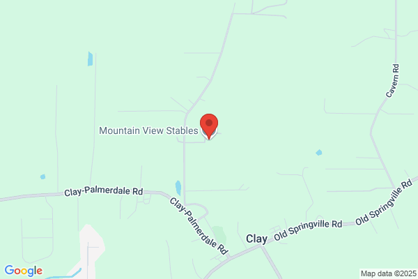 Mountain View Stables