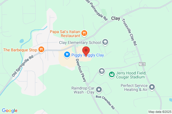 TherapySouth Clay/Pinson