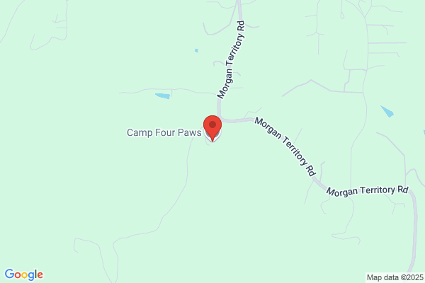 Camp Four Paws