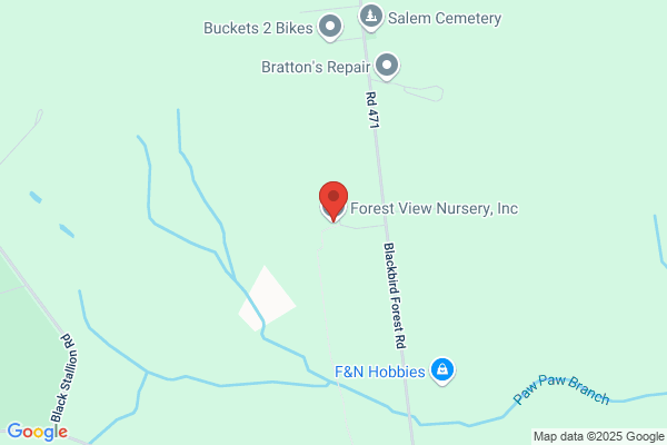 Forest View Nursery