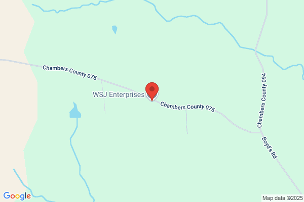 Wsjs Enterprise Inc