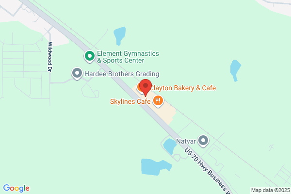 BelFlex Staffing Network