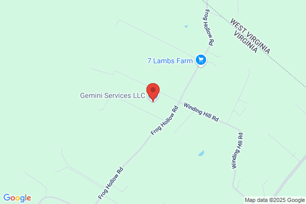 Gemini Services Llc