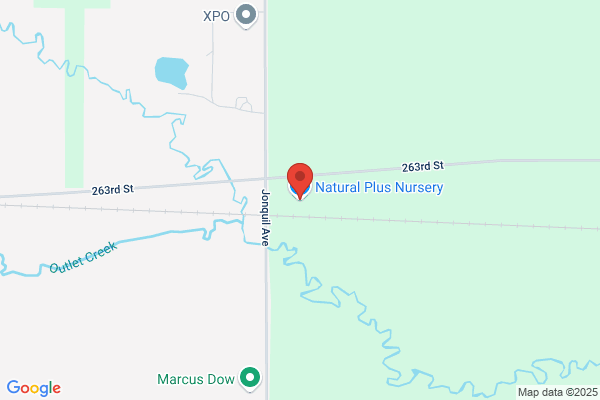 Natural Plus Nursery