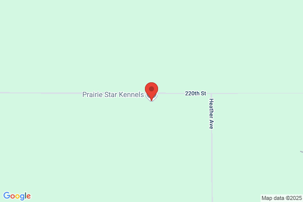 Prairie Star Kennels