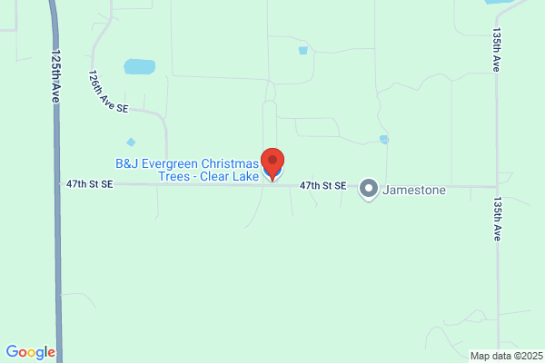 Evergreen Tree Inc