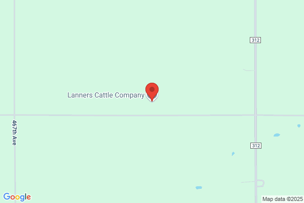 Lanners Dennis