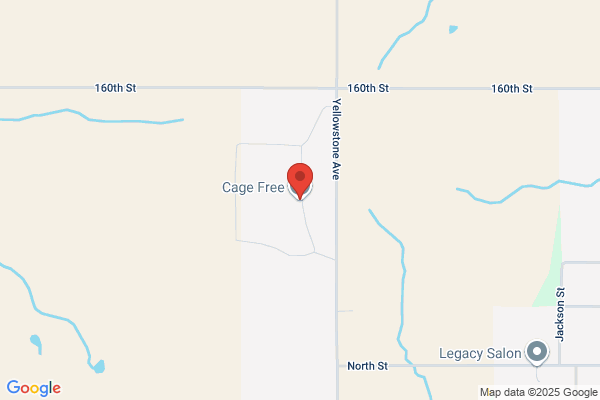 Iowa Cage Free