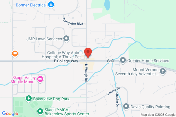 College Way Animal Hospital, A Thrive Pet Healthcare Partner