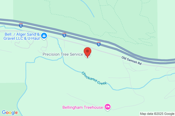 Precision Tree Service -  Tree Removal Sedro-Woolley