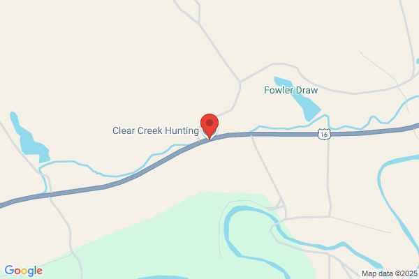 Clear Creek Taxidermy