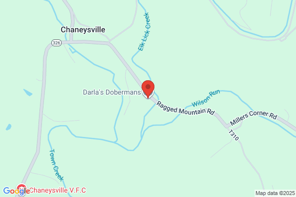 Darla's Dobermans