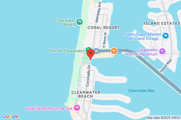 Sea Screamers of Clearwater