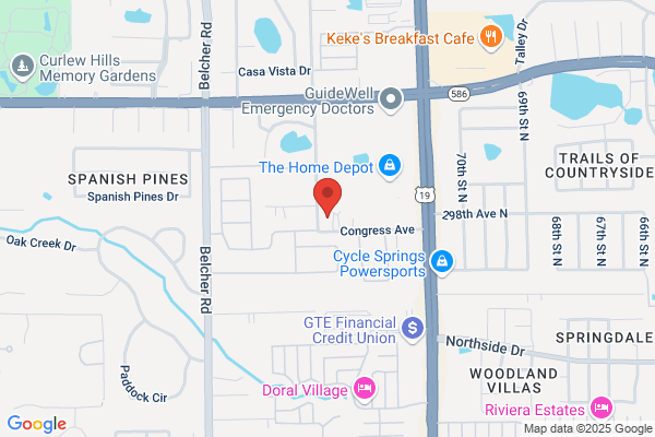 Palm Harbor & Dunedin Electric Company Inc