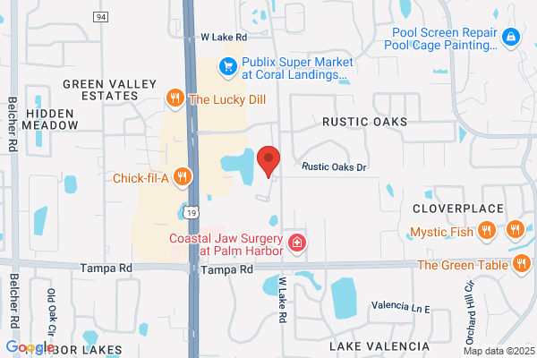 Meadowlake Palm Harbor