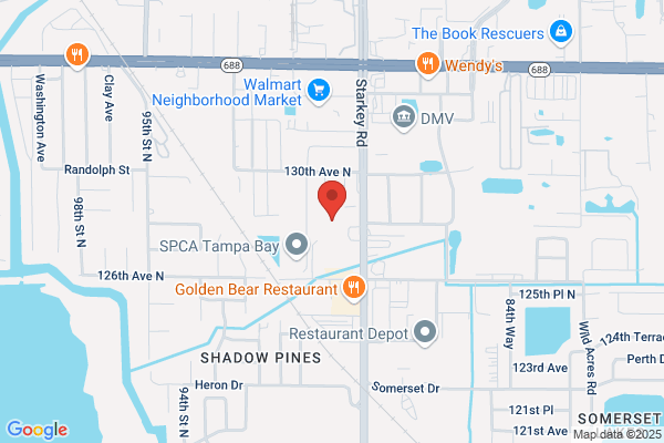 Scott Automotive Electric Co