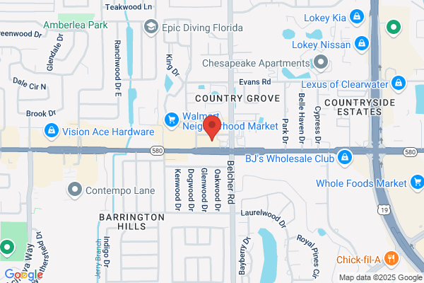 Revenue Systems Inc
