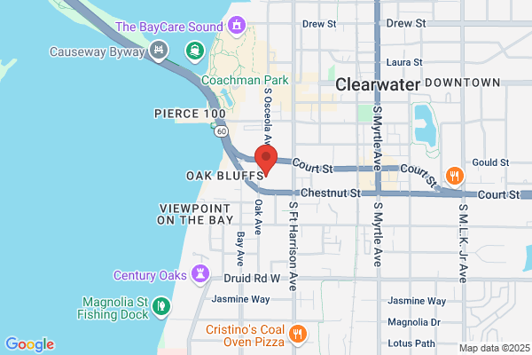 Pinellas County of, County Administrator