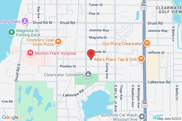 David Singer Enterprises Inc