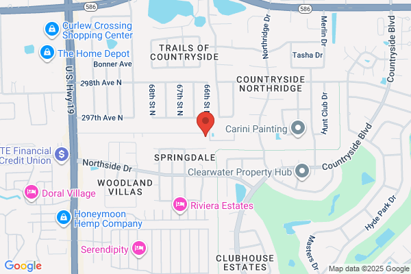 Bee Rescue Foundation Of Florida Live Bee Removal