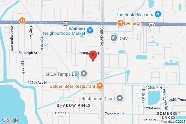 Ulmerton & Starkey Automotive