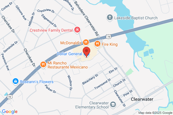 Dollar General Stores