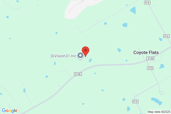 DiVision31 Inc.