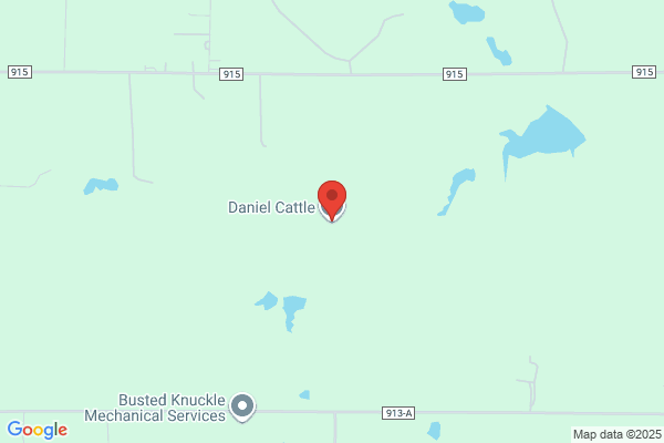 Daniel Cattle Company