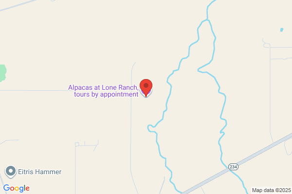 Lone Star Alpacas