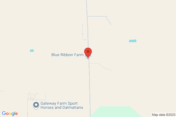 Blue Ribbon Farm