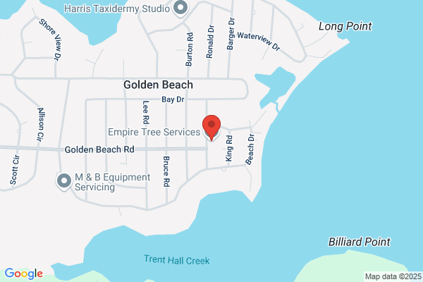 Area Tree Company