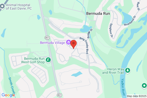 Bermuda Village